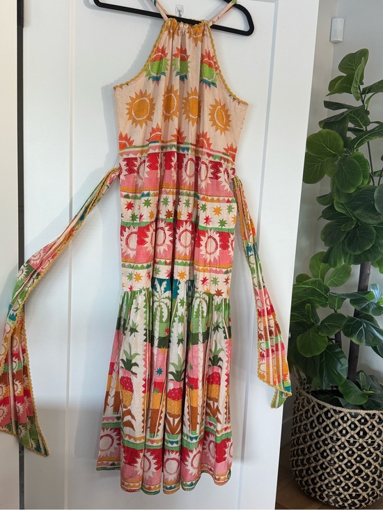 FARM Rio Dresses & Skirts - Sun & Fruit Print Maxi Dress in Multi